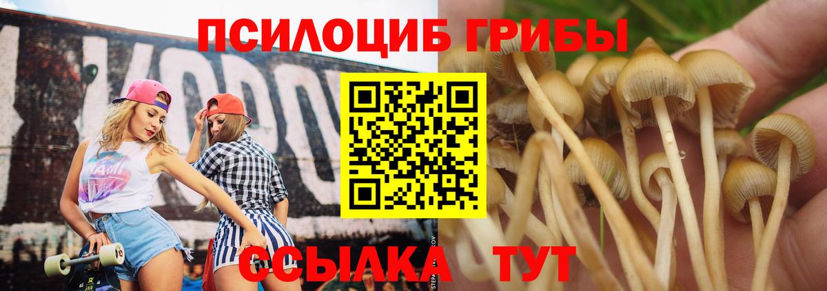 Ирбит  Псилоцибиновые грибы мицелий  Вход с VPN  где найти наркотики  Псилоцибиновые грибы прущие грибы 